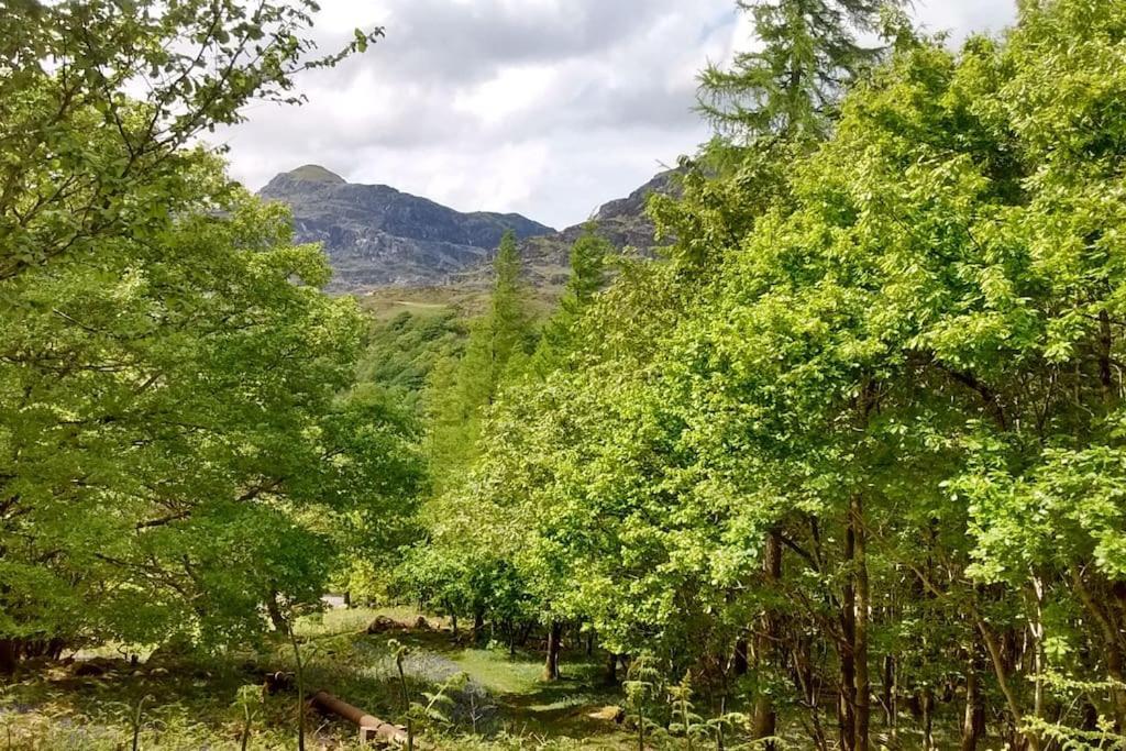 Mountain Walks Straight From The Doorstep Villa Blaenau Ffestiniog Luaran gambar